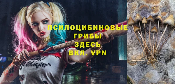 гашик Володарск