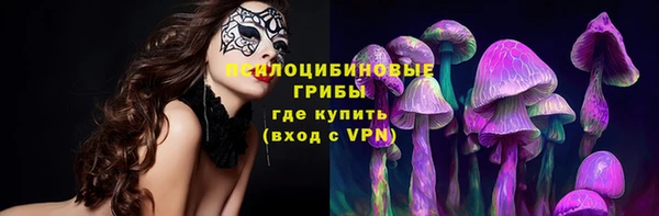 ECSTASY Волосово