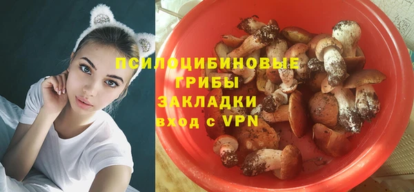 ECSTASY Волосово