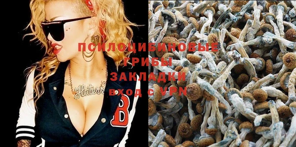 ECSTASY Волосово