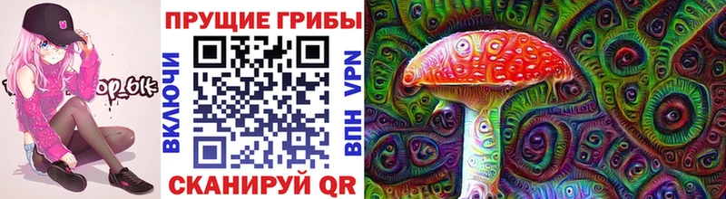 Псилоцибиновые грибы MAGIC MUSHROOMS  Купить закладки  Рассказово 