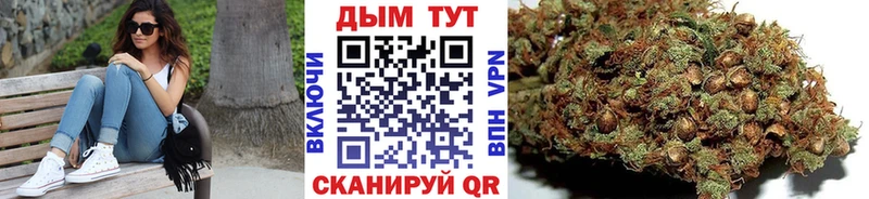 Каннабис сатива  Купить где  Рассказово 
